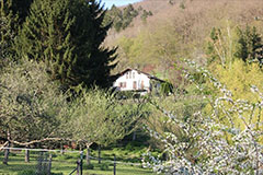 Young Lovers' Wall and the Old Rain
